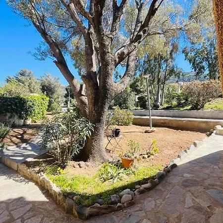 Cocody 41 Lumio (Corsica)